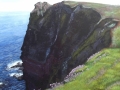 Cliff Face (Duncansby)