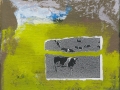 Cows in Greens